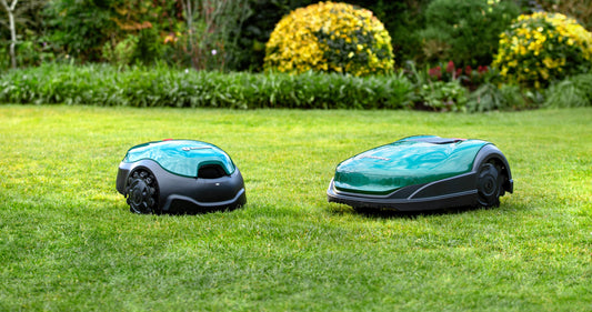 zwei grüne Mähroboter auf dem Rasen