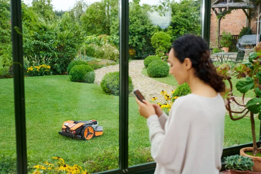 Finden Sie die besten Rasenarten für einen erfolgreichen DIY-Rasen