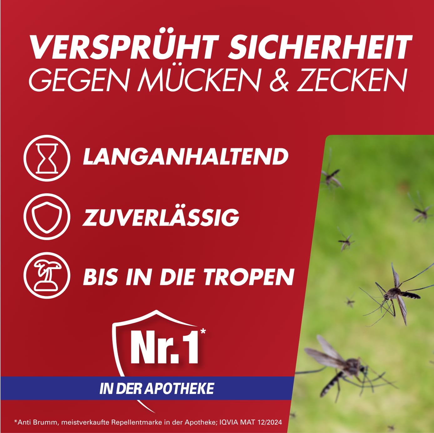 Spray anti-insectes Anti Brumm Forte