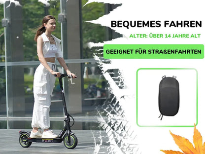 E Scooter mit Straßenzulassung, 350W, 8,5 Zoll, 30 km Reichweite